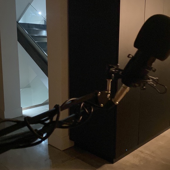 Zingyou microphone and stand - Picture 3 of 5